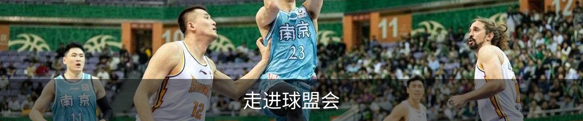 走进球盟会